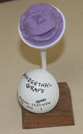 carved golf ball