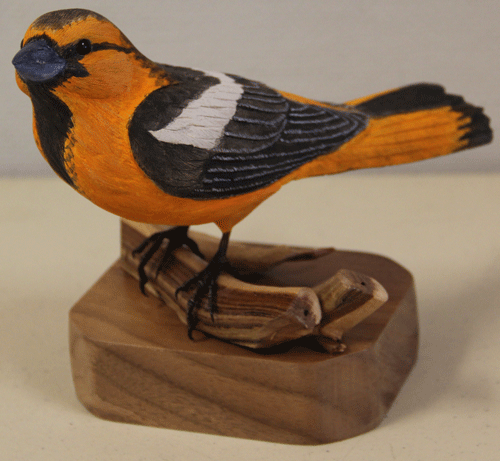 northern oriole