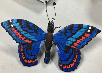 butterfly