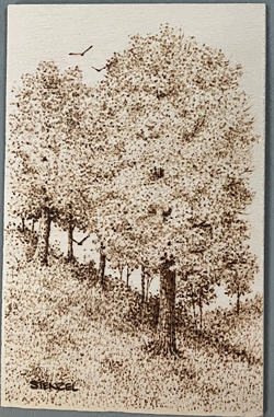 trees